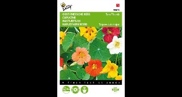 Oost-Indische kers Tom Thumb - Tropaeolum majus nanum