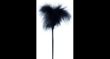 Power Escorts - Veren Kietelaar - Fetish - Feather Tickler - Zwart