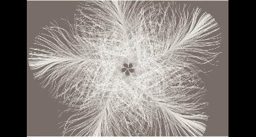 Komar Fotobehang Feather 368x248 cm XXL4-006