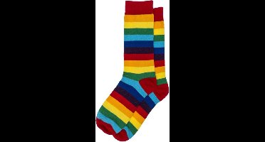 Fel gekleurde regenboog kousen gestreept in cadeau blok - Clown carnaval verkleed sokken - maat 41-45