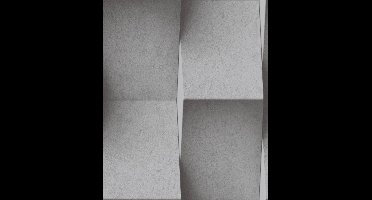 Dutch Wallcoverings vliesbehang steen - donkergrijs