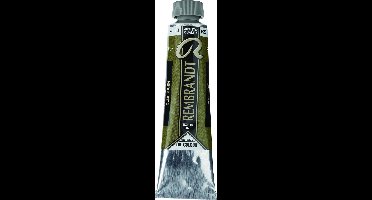 Rembrandt Olieverf | Olive Green (620) 15 ml