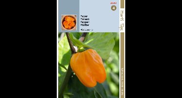 Hortitops - Peper Habanero oranje 10 zaden - 300000 Scoville