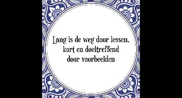 Tegeltje met Spreuk (Tegeltjeswijsheid): Lang is de weg door lessen, kort en doeltreffend door voorbeelden + Kado verpakking & Plakhanger