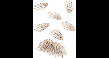 Vegaoo - Set van 12 skelethanden