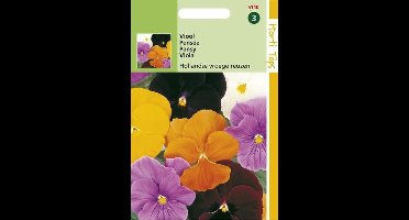 2 stuks Hortitops Viola Wittr. Hollandse Reuzen Gemengd