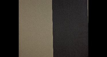 Dutch Wallcoverings Vliesbehang streep - zwart/bruin