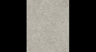 Couleurs beton d.beige beton (vliesbehang, beige)
