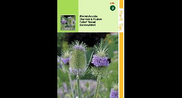 2 stuks Hortitops Dipsacus Sativus Fullonum Weverskaarde op op