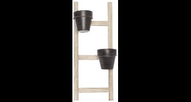 Cosy @ Home Ladder 2x Pot D10cm Natuur 19,5x12xh49cm