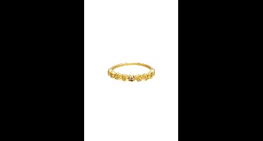 Ring-spotted -yehwang-18