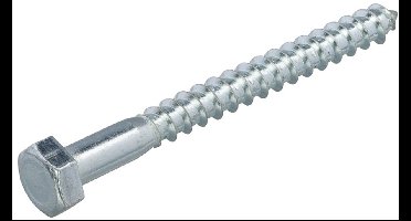 Houtdraadbouten - DIN571 Zeskant - M10 x 320mm - Verzinkt (25 stuks)