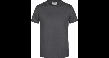 James And Nicholson Heren Basis T-Shirt (Grafiet)