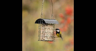 CJ Wildlife Vetblokhouder voor Vogels - Sydney - Mezenbolhouder voor 1 Vetblok - Voederhuisje Wandmodel - Bruin