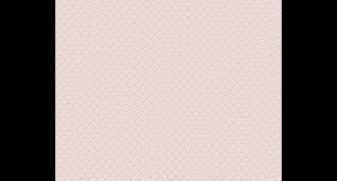 MODERN GRAFISCHE BEHANG - Roze - AS Creation Trendwall