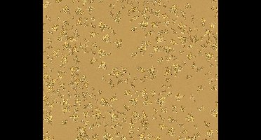 KLASSIEK BLOEMETJES BEHANG - Goud - AS Creation Versace 4