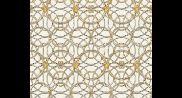KLASSIEK MODERN BEHANG - Goud Grijs Zilver Wit - AS Creation Versace 4