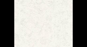 GIPSLOOK BEHANG | Schuimvinyl - wit - A.S. Création Attractive 2