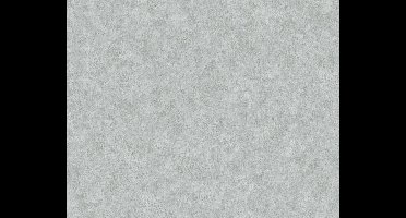 BETONLOOK BEHANG - Grijs   - Industrieel behang - AS Creation Neue Bude 2.0