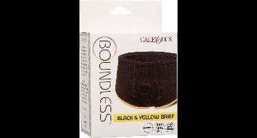 Boundless Brief