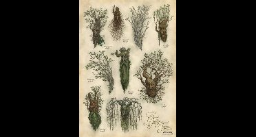 Lord of the Rings Art Print Ent's of Fangorn Forest 59 x 30 cm