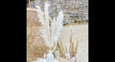 5 Country Wedding pampagrassen 90cm