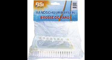BSI - Handschuurborstel voor zwembaden en spa's