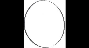 Bandzaagblad 1826 x 8 x 0,4 mm 6 TPI Holzmann Maschinen BSB245HQB8
