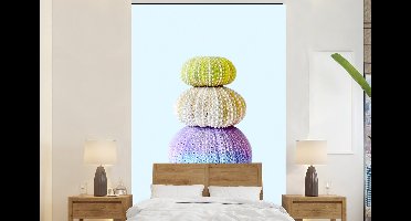 Behang - Fotobehang Kleuren - Natuur - Dieren - Zeedieren - Breedte 160 cm x hoogte 240 cm - Behangpapier