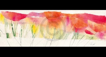 Kunstdruk Marta Peuckert - Poppy ribbon red 100x35cm
