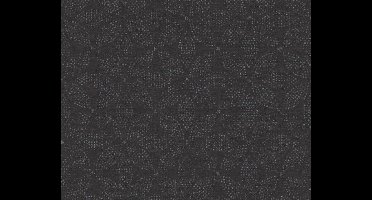 Grafisch Vliesbehang - Zwart Zilver - AS Creation Ethnic Origin
