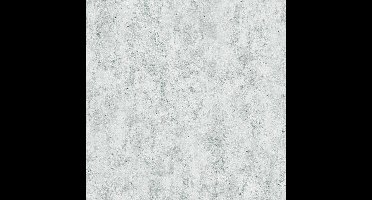 BETONLOOK BEHANG | Industrieel - grijs zilver - A.S. Création Concrete & More