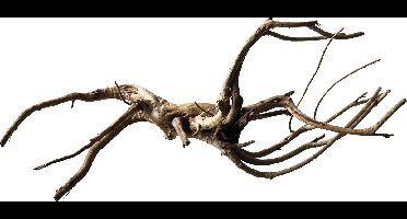 SuperFish Black Spiderwood L