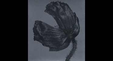 Release (Remastered LP)