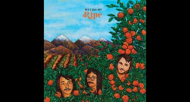Brainstory - Ripe (12" Single)