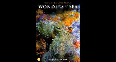 Wonders Of The Sea (DVD)