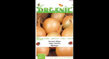 Buzzy Organic ui Rijnsburger (bio) - Bewaarajuin met uitstekende houdbaarheid