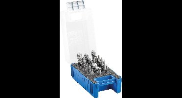 Freesstiftset HSS Vertanding 3 6mm in kunststof box 18-delig Rüggeberg