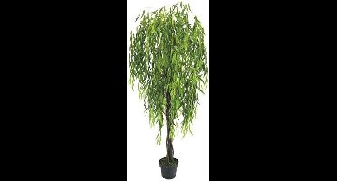 Willow tree wilgenplant 180 cm met echt hout