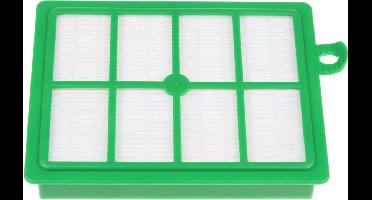ELECTROLUX - AEF12 stofzuiger Hygiene Filter -niet-wasbare filter - 9001966697