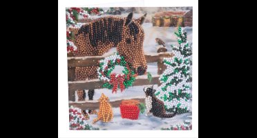 Crystal Card Kit ® Christmas Friendship (18x18cm/partial)