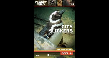 Special Interest - City Slickers