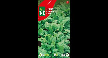Spinazie 'Viroflay' - Perfect voor Voorjaar en Herfstteelt