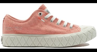 Palla Ace Canvas