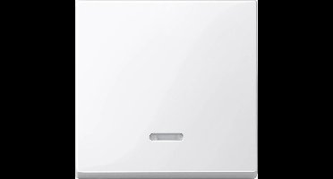 Merten 436019 Controleschakelaar Afdekking System M, 1-M, M-Smart, M-Plan, M-Creativ Polar-wit (glanzend)