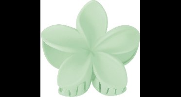 yehwang - haarclip - bloem - mintgroen