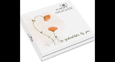 Kaartenmapje Petit Paris - Klaproos