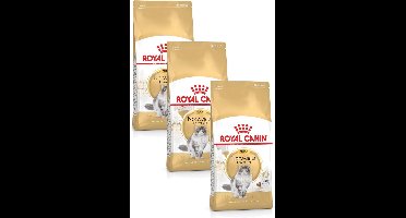 Royal Canin Norwegian Forest Cat Adult - Kattenvoer - 3 x 2 kg