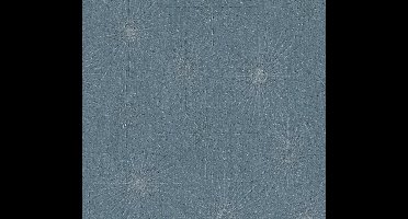 RETRO STERREN BEHANG | Modern - blauw zilver grijs - A.S. Création The Bos