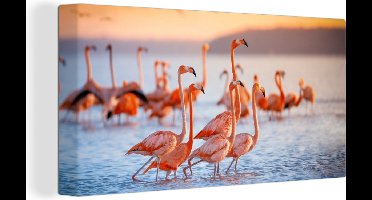 OneMillioncanvasses - Canvas - Schilderij vogels - Flamingo - Zonsondergang - Vogel - Tropisch - Foto op canvas - 80x40 cm - Schilderijen op canvas - Wanddecoratie